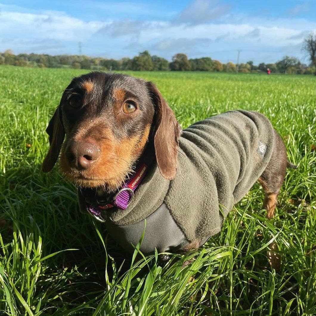 Dachshund Fleece Jumper with Waterproof Belly Panel: Sunshine / Medium