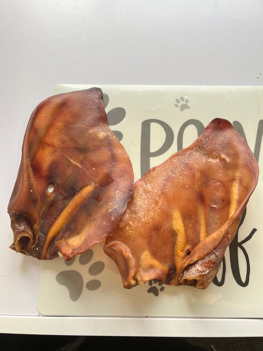 XL Sow Ears