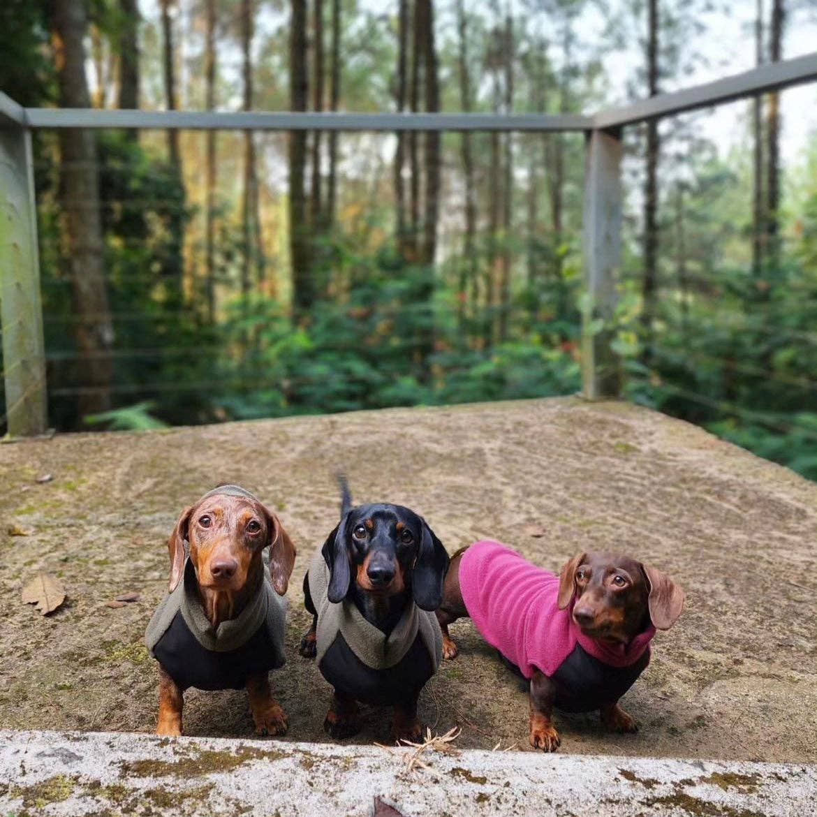 Dachshund Fleece Jumper with Waterproof Belly Panel: Sunshine / Medium