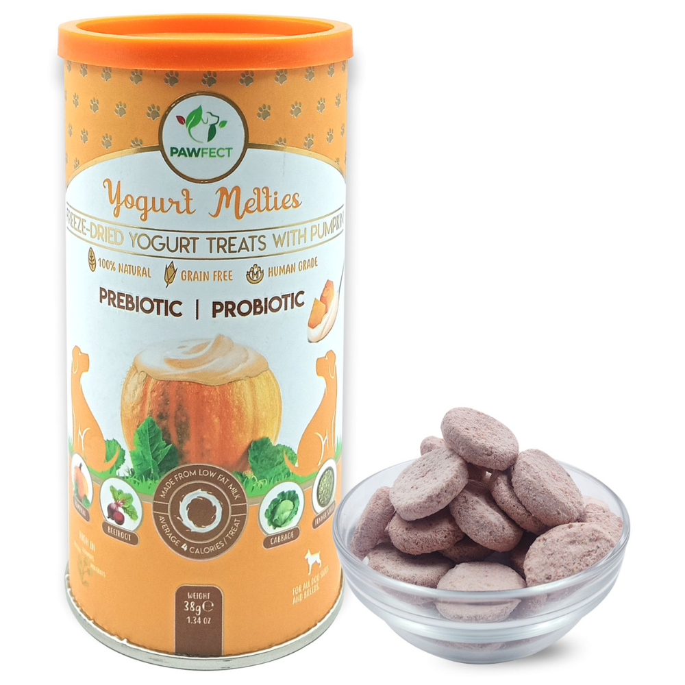 Pawfect Yogurt Melties Prebiotic and Probiotic Dog Treats: Pumpkin & Yogurt (38g/1.34oz)