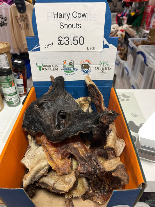 Hairy Cow Snouts.