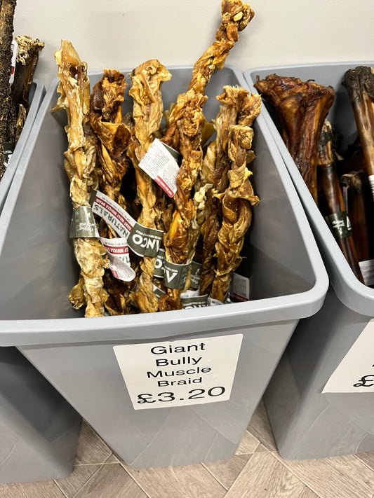 Giant Bully Muscle Stick