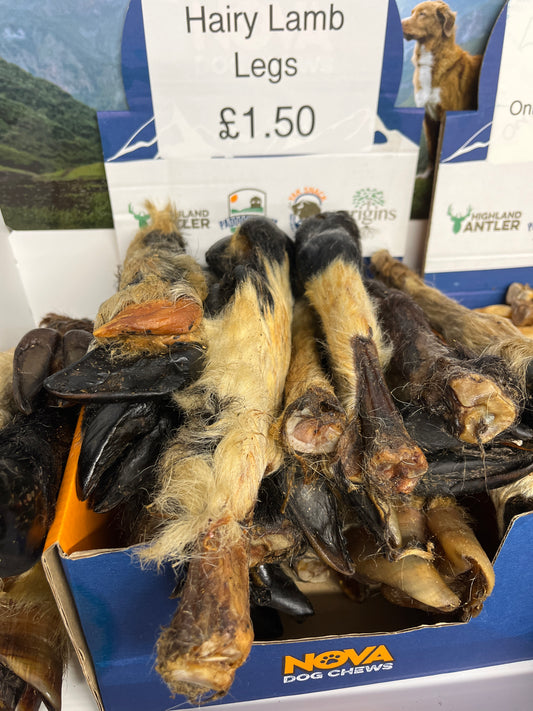 Hairy Lamb Legs