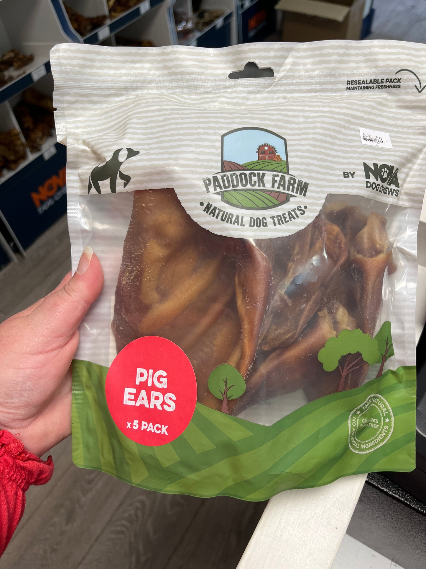 Pig Ears.