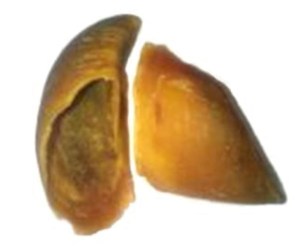 Unfilled Cow Hooves.