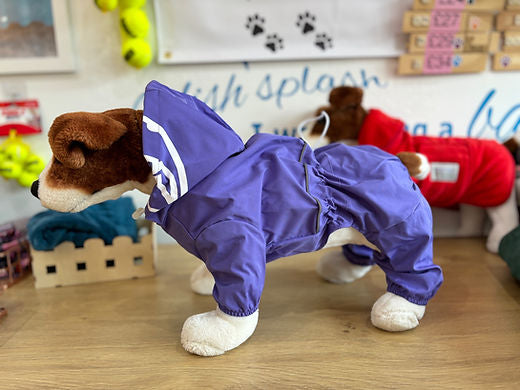 Small Dog Waterproof Suit