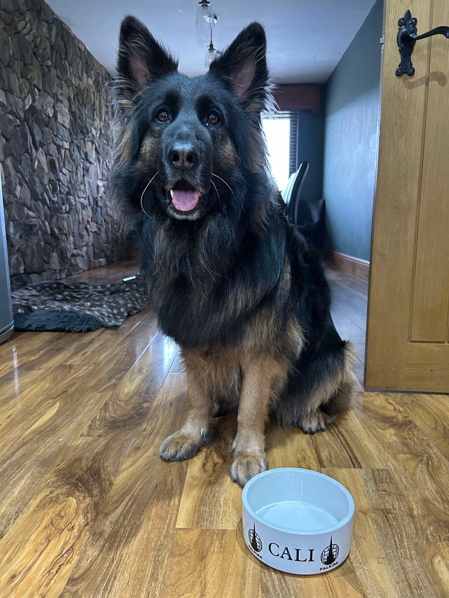 Falkirk FC Ceramic Dog Bowl