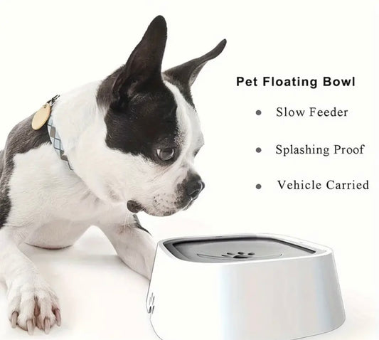 Slow Water Drinking Bowl