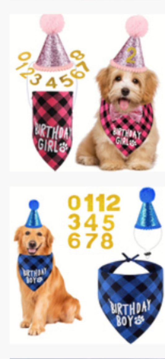 Doggie Birthday Party Pack.
