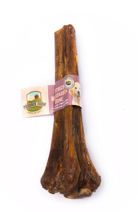 Ostrich Metatarsus Bone.