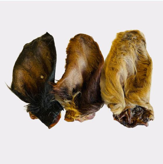 Large Hairy Cow Ears.