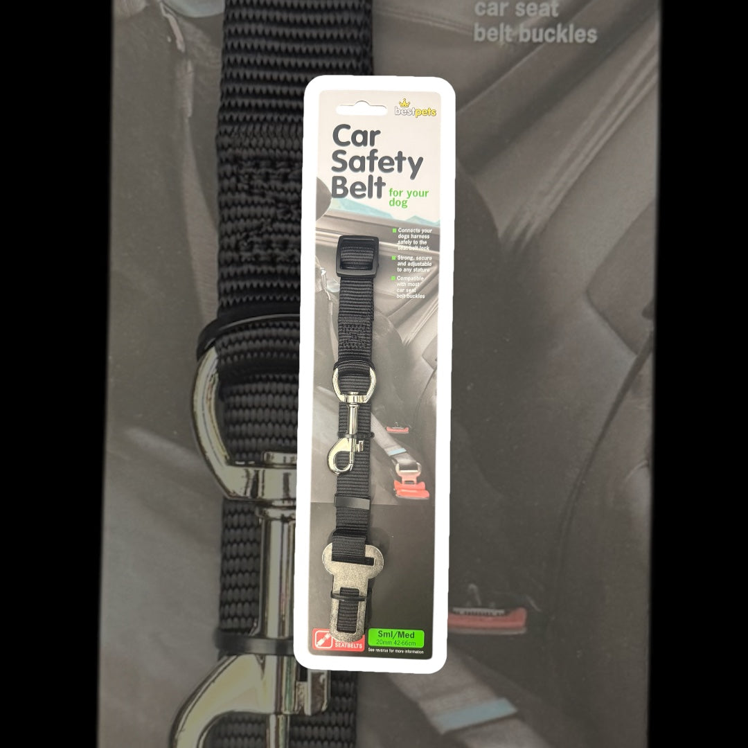 Car Safety Belt