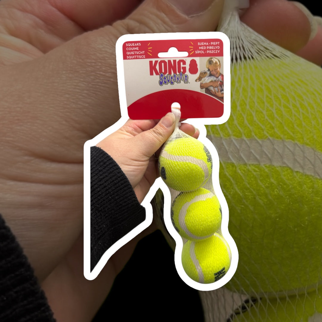 Kong Squeakair.