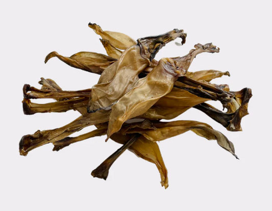 Rabbit Ears - No Fur.