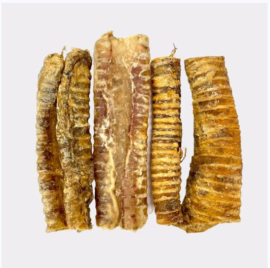 Trachea "Gullet" Cut.