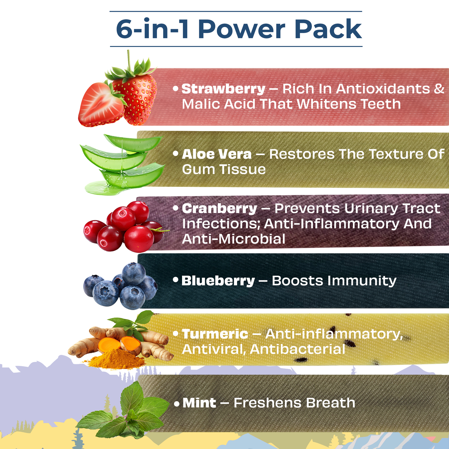 Pawfect Himalayan Cheese Chew Bars Variety Pack (Medium) - Pack of 6 (Strawberry, Mint, Turmeric, Blueberry, Cranberry, Aloe Vera) (390g/13.75oz)