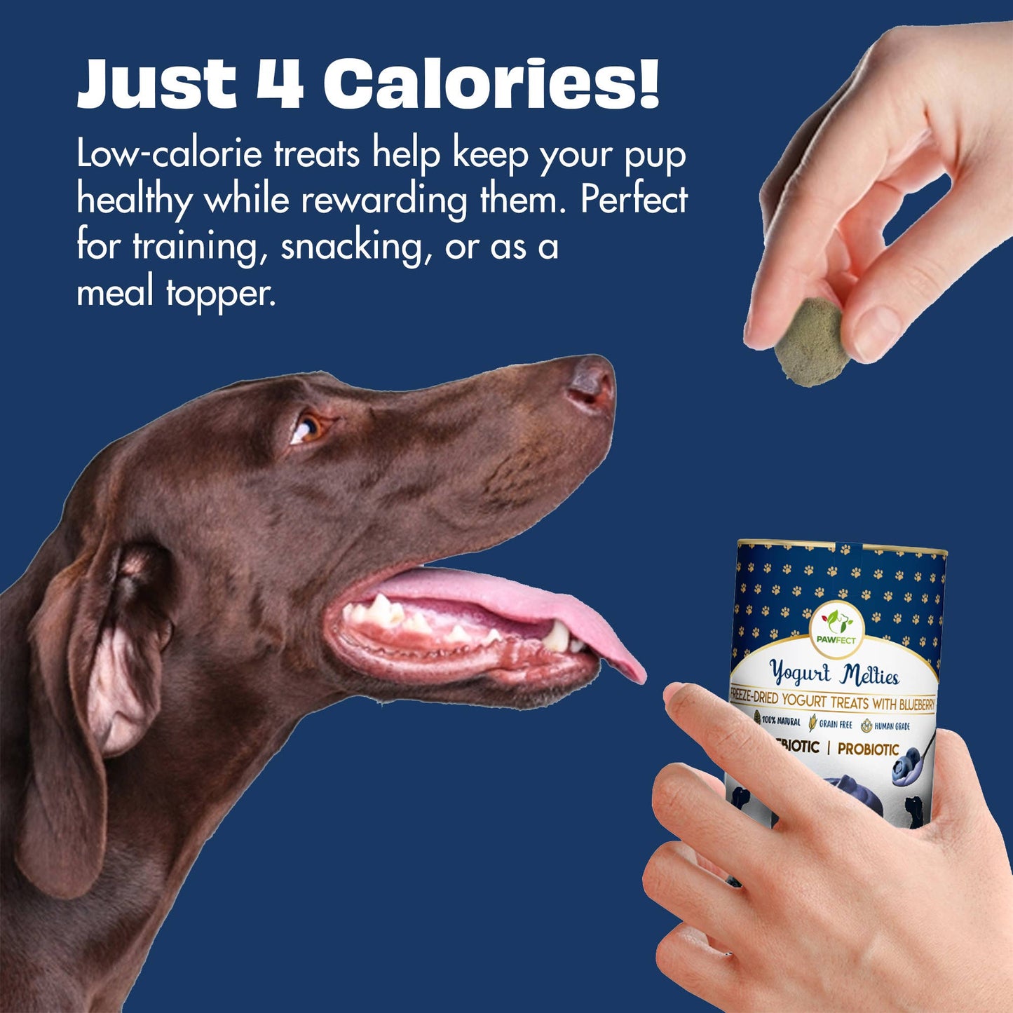 Pawfect Yogurt Melties Prebiotic and Probiotic Dog Treats: Blueberry & Yogurt (38g/1.34oz)