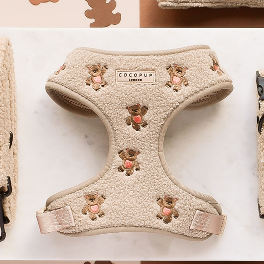 Theo Embroidered Teddy Adjustable Neck Harness: XXS