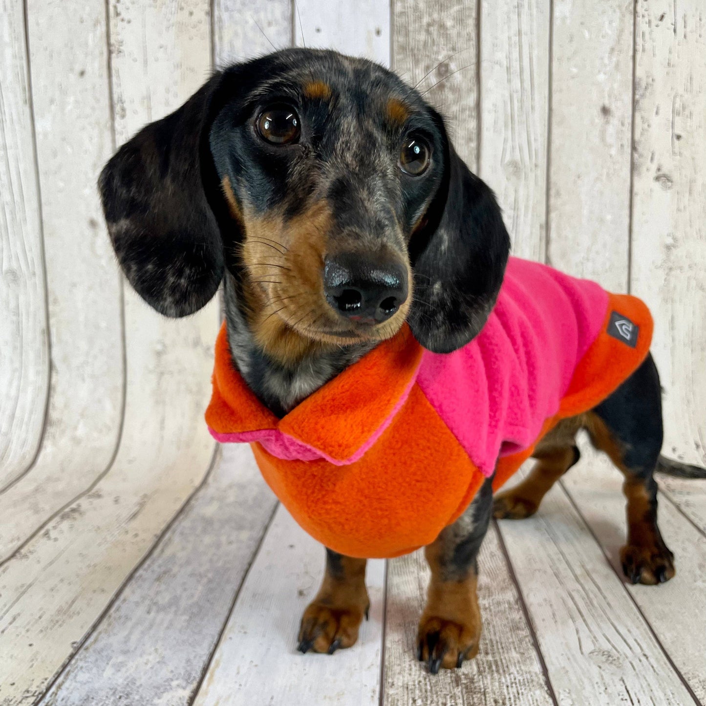 Two-Tone Dachshund Fleece Jumper: Mustard / Teal / Small