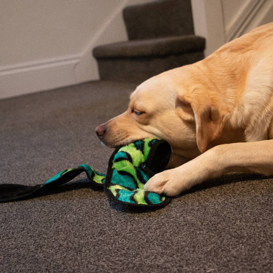 Ancol Playtime For Dogs  Tough Squeaky Snake