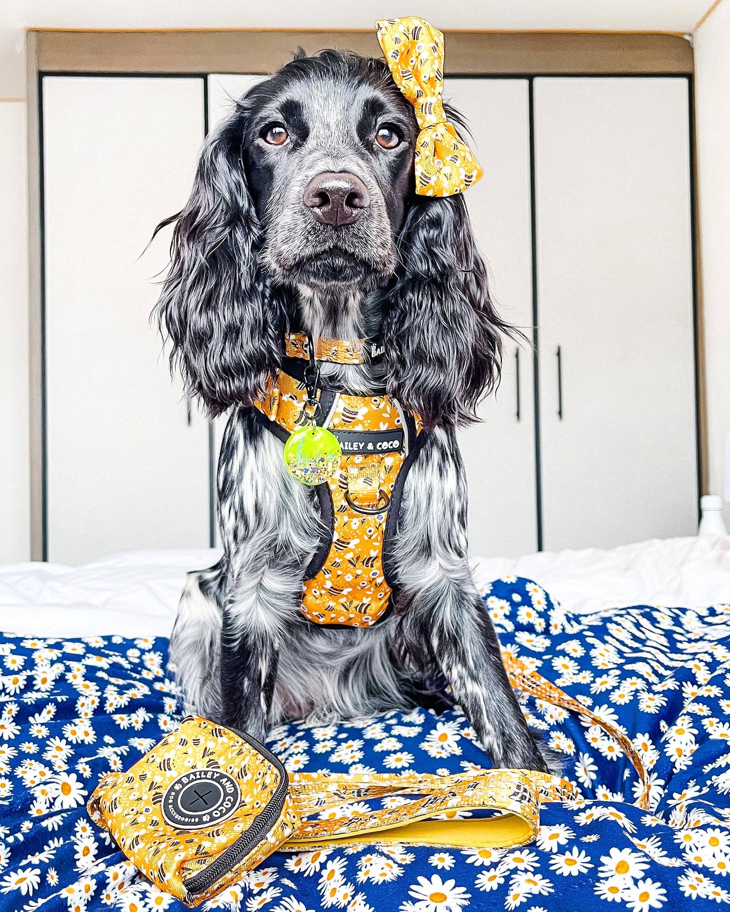 Trail & Glow® Dog Harness - Wanna-Bee: S