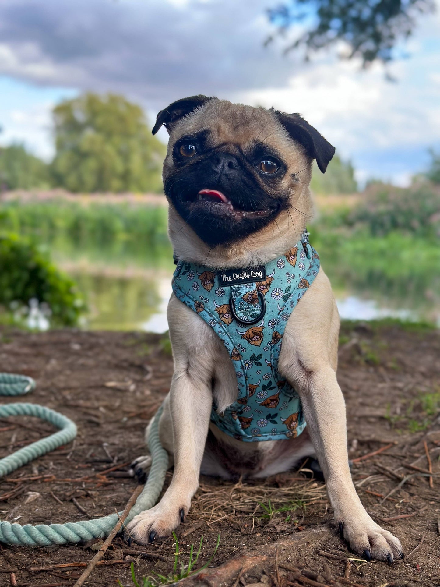 The Crafty Cow Harness - Mint Highland Cows Simple Summer