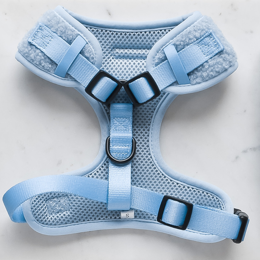 Teddy Daydream Adjustable Neck Harness: S