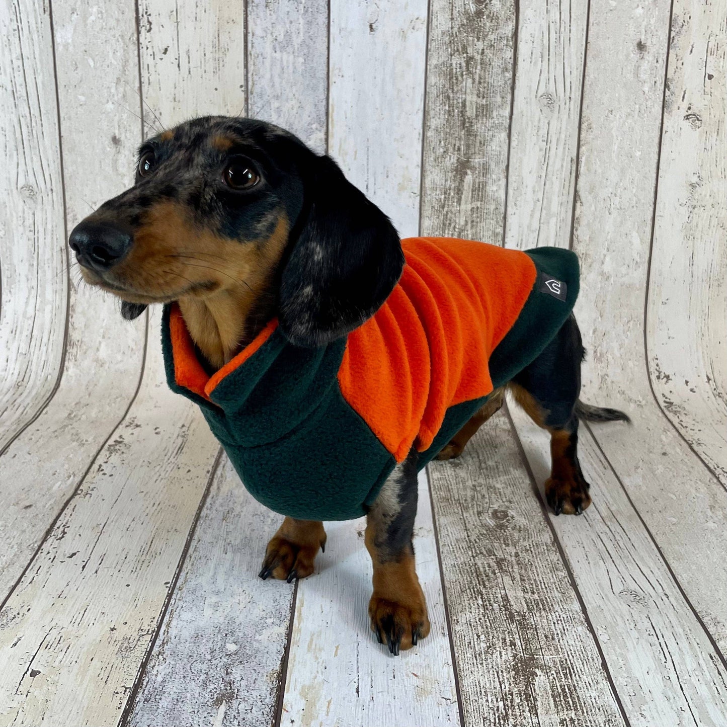 Two-Tone Dachshund Fleece Jumper: Mustard / Teal / Small