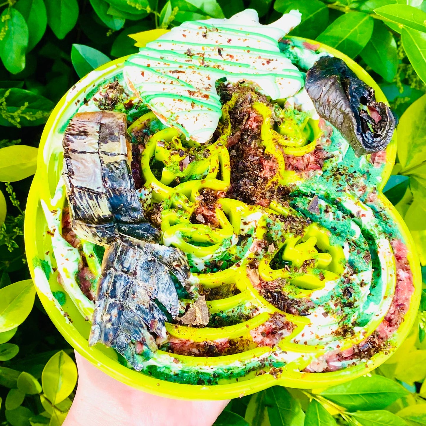 Croc Crisps - Crocodile Chips - New.