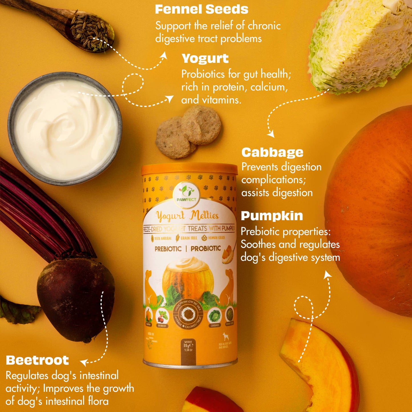 Pawfect Yogurt Melties Prebiotic and Probiotic Dog Treats: Pumpkin & Yogurt (38g/1.34oz)