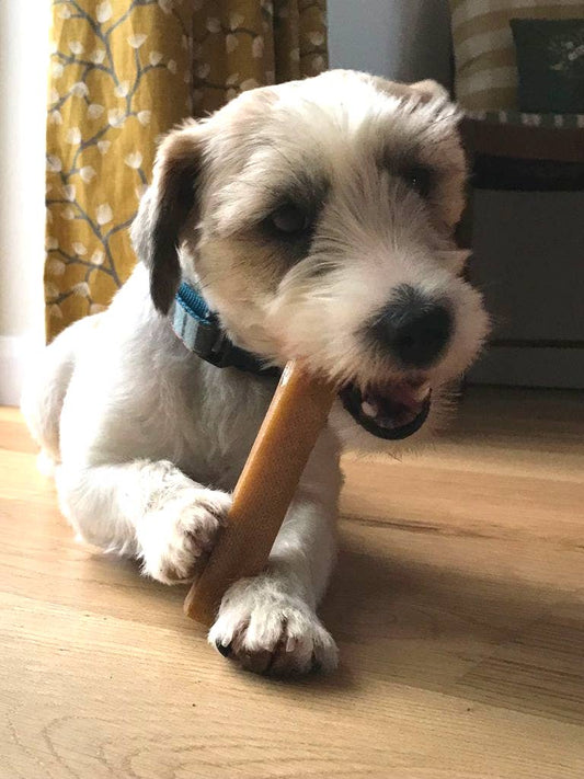 K2 Yak Chews 100% Natural Longer Lasting Dog Treats Large