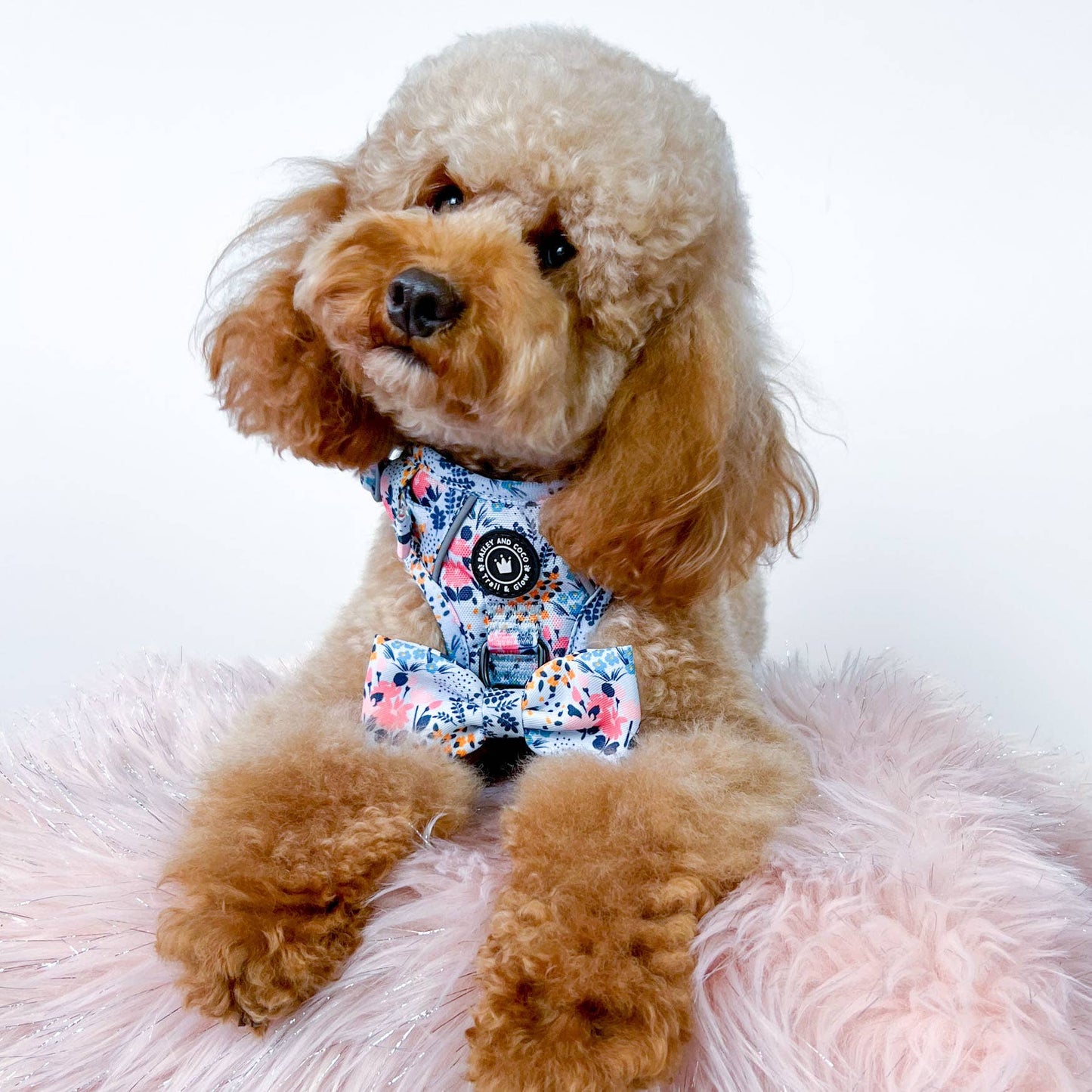 Trail & Glow® Dog Harness - Spring Dreams 2023: S