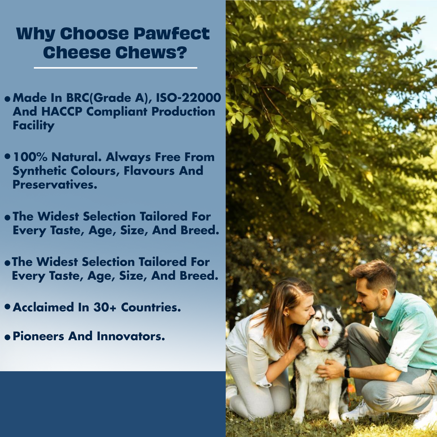 Pawfect Himalayan Cheese Chew Bars Variety Pack (Medium) - Pack of 6 (Strawberry, Mint, Turmeric, Blueberry, Cranberry, Aloe Vera) (390g/13.75oz)