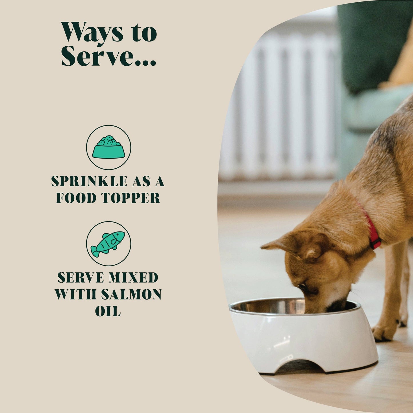 Green Lipped Mussel Powder for Dogs | 80 Servings.