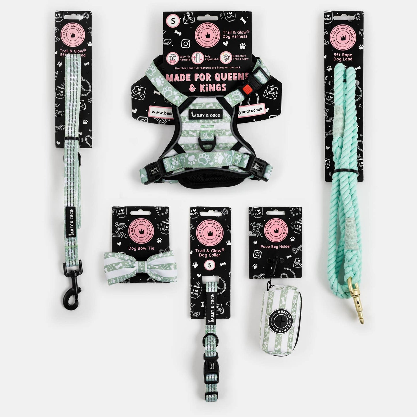 Trail & Glow® Dog Harness - Wanna-Bee: S