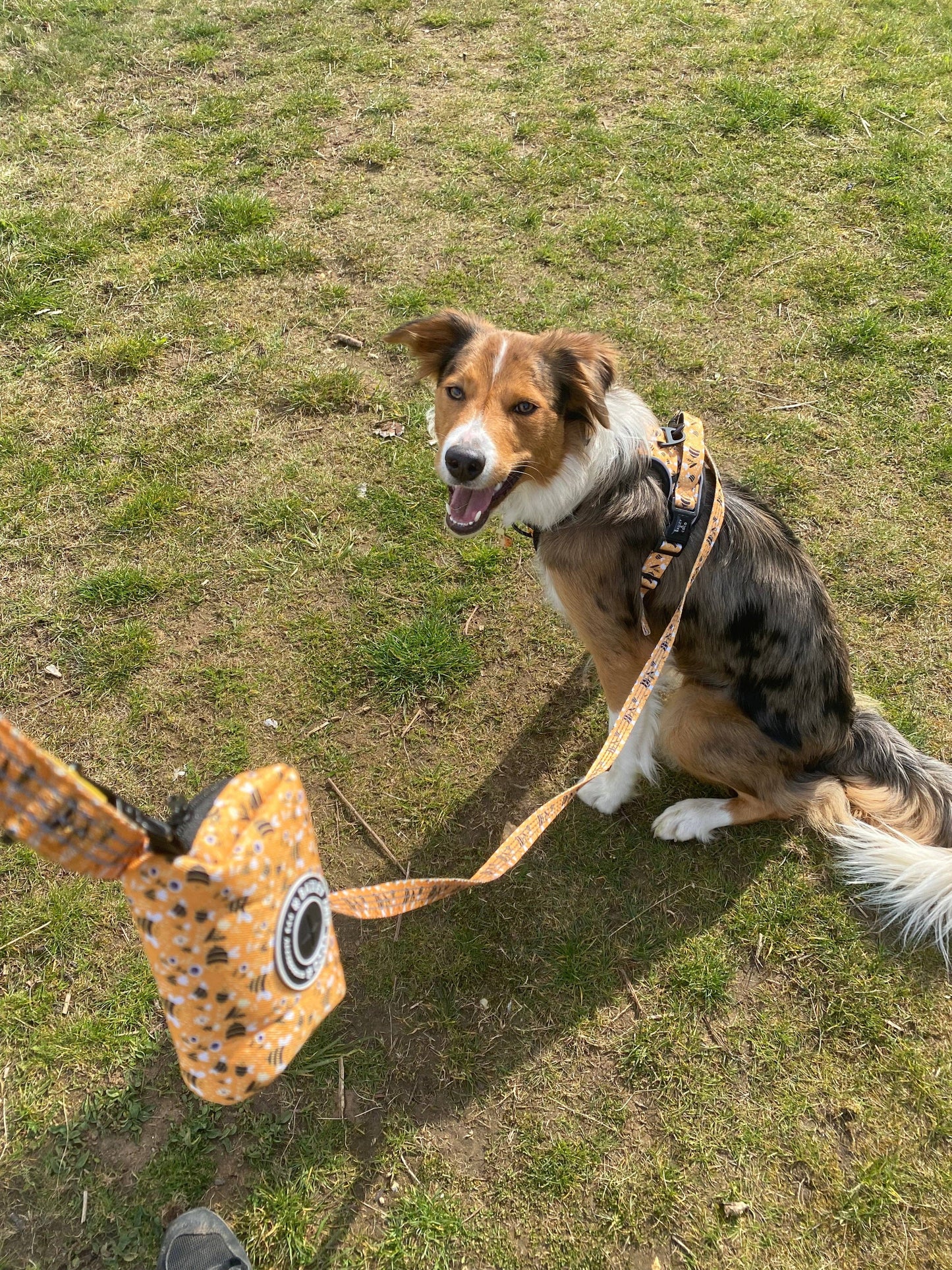Poo Bag Holder - Wanna-Bee