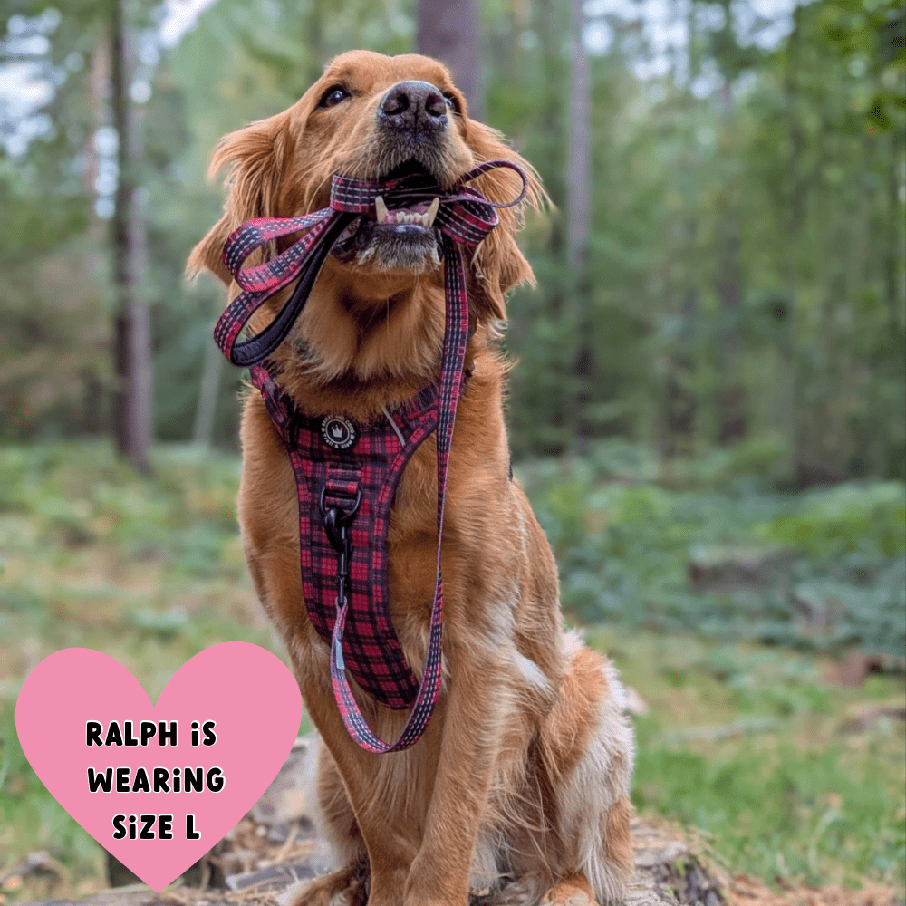 Trail & Glow® Dog Harness - The Red Tartan One: L