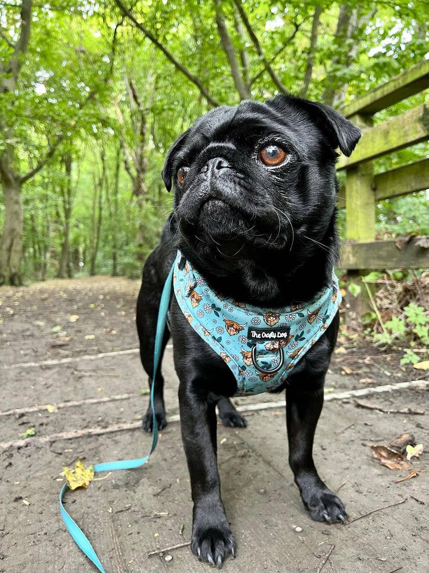 The Crafty Cow Harness - Mint Highland Cows Simple Summer