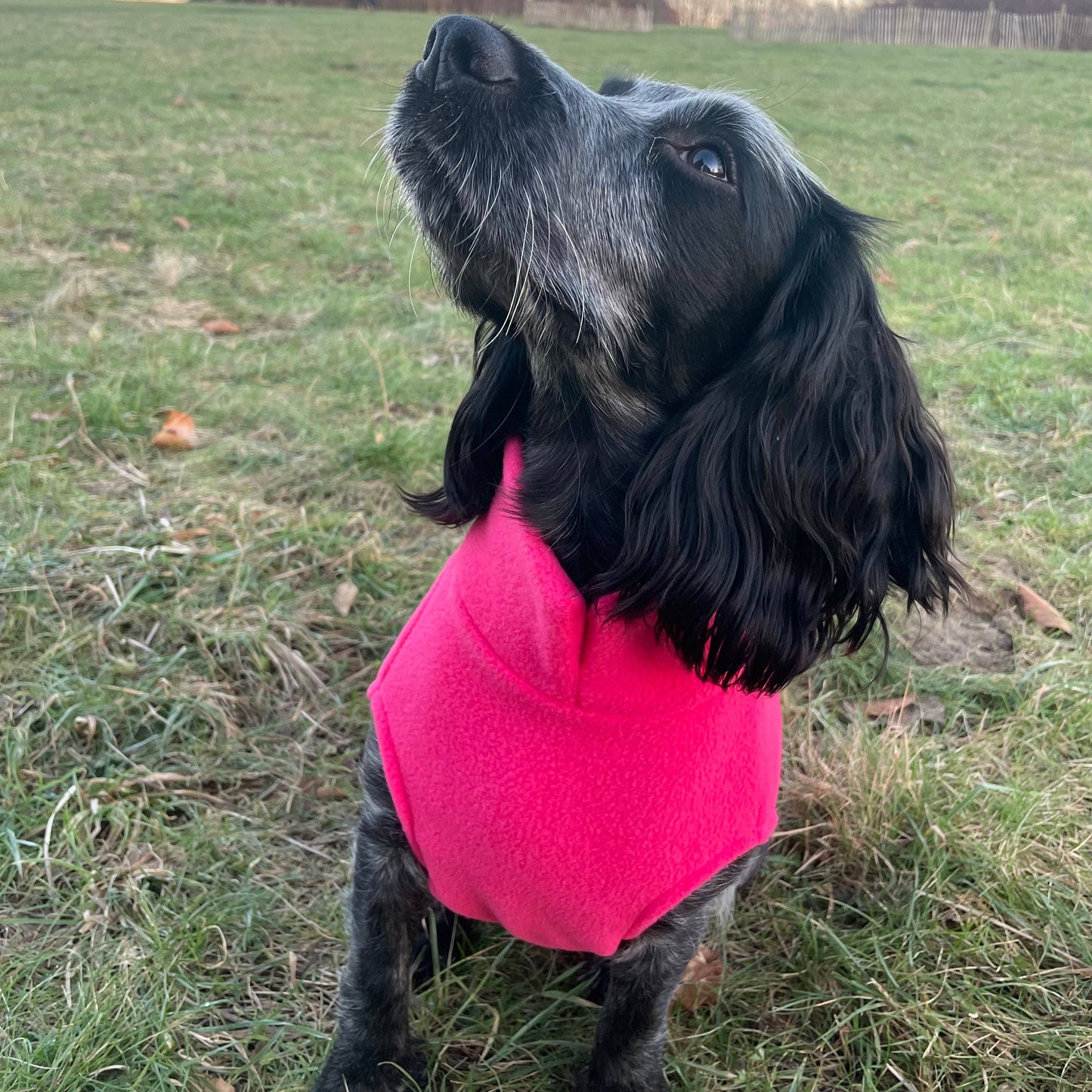 Spaniel Dog Fleece Jumper: Ruby Red / Medium