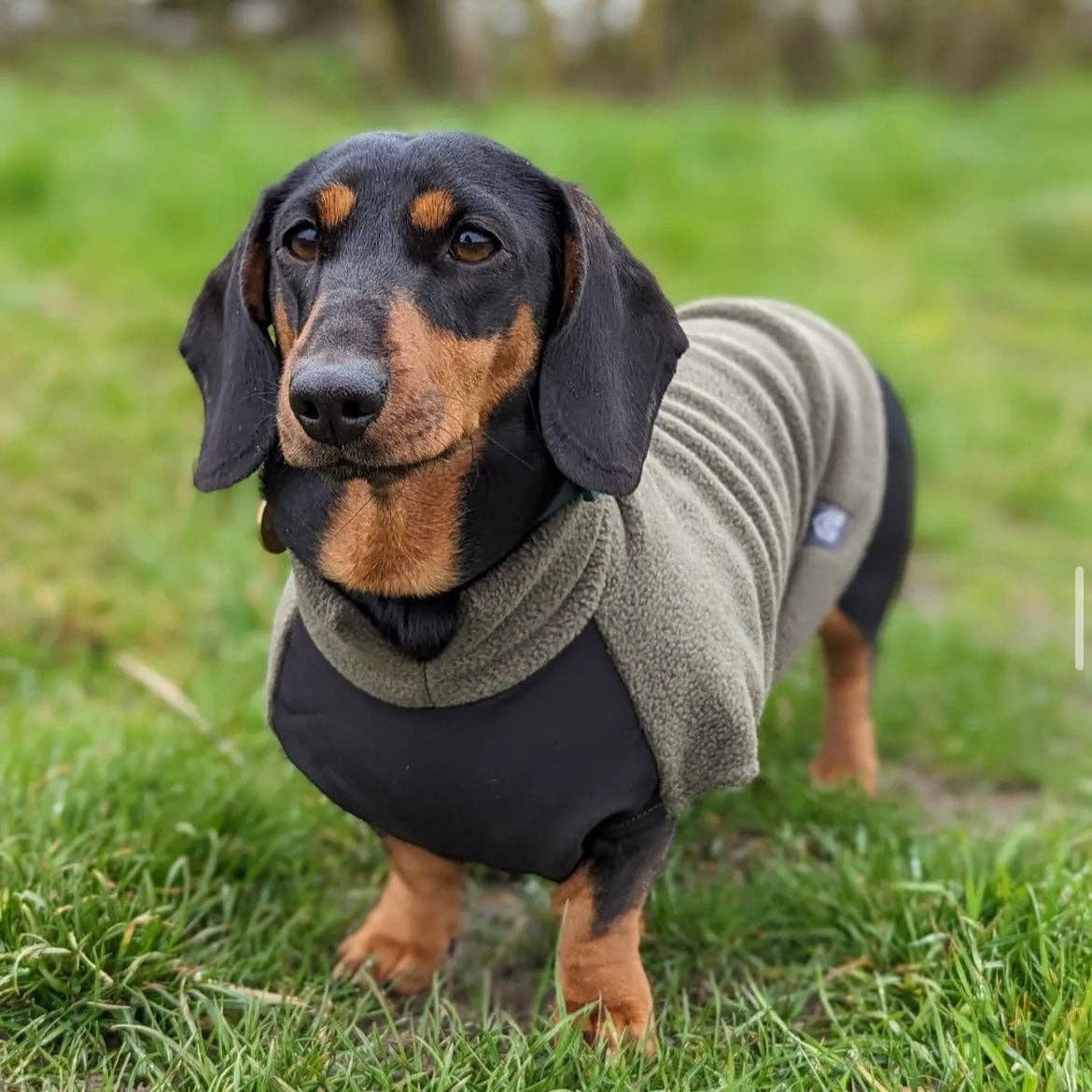 Dachshund Fleece Jumper with Waterproof Belly Panel: Sunshine / Medium