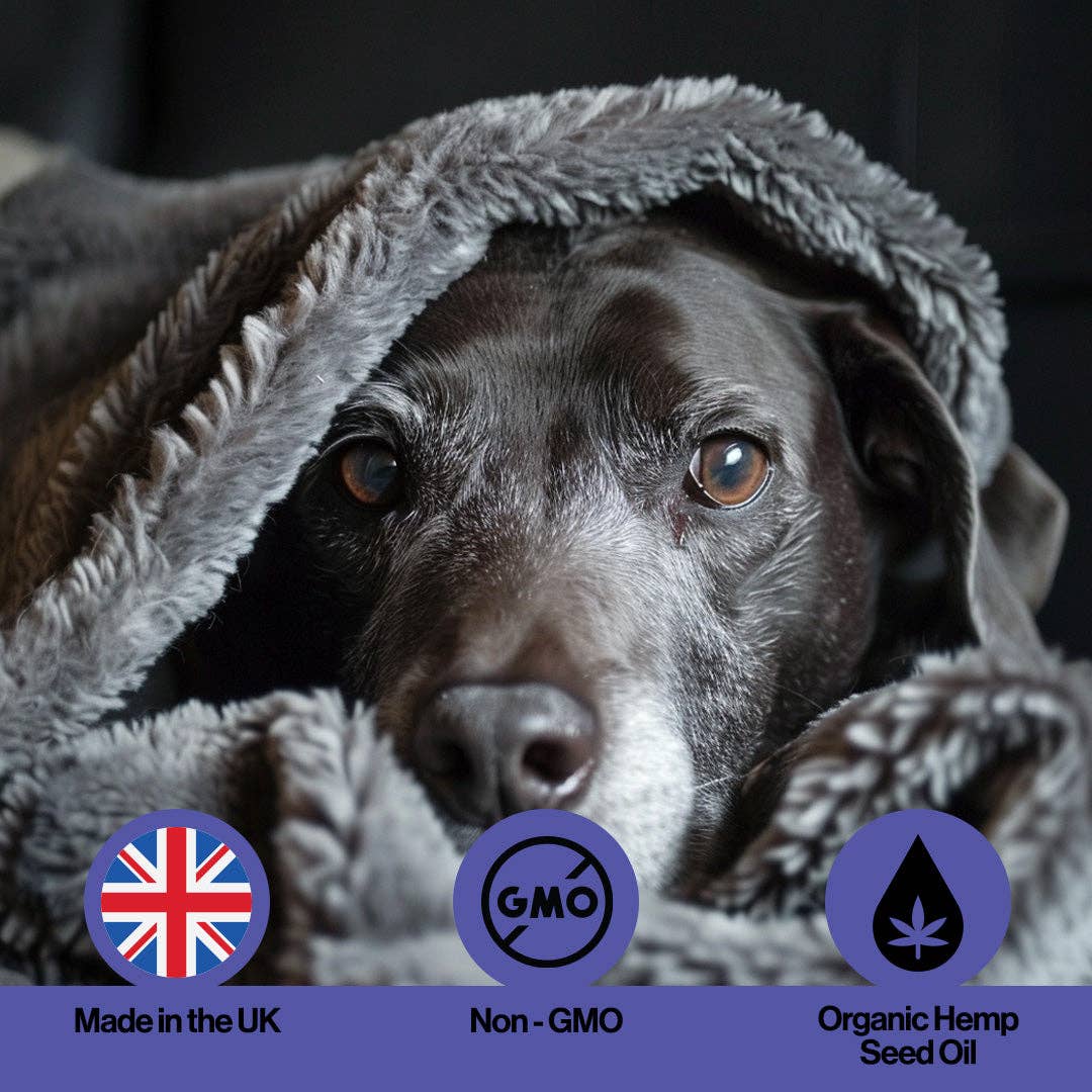 Seniors Hemp Oil For Pets.