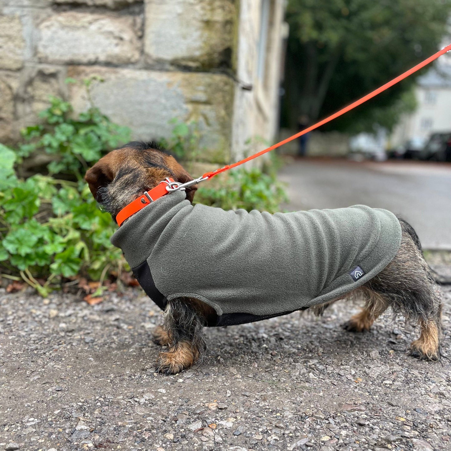 Standard Dachshund Fleece Jumper with Waterproof Belly Panel: Olive / Large