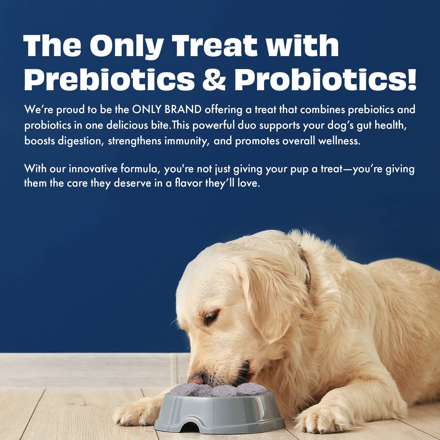 Pawfect Yogurt Melties Prebiotic and Probiotic Dog Treats: Blueberry & Yogurt (38g/1.34oz)