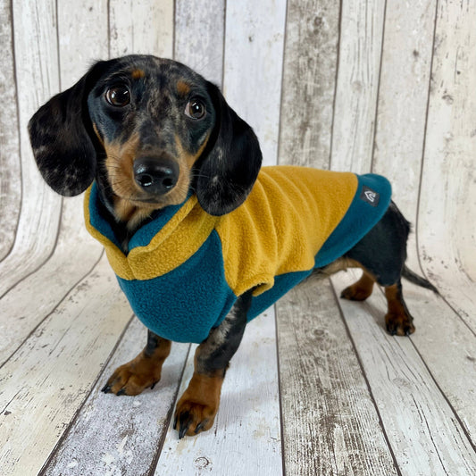 Two-Tone Dachshund Fleece Jumper: Mustard / Teal / Small