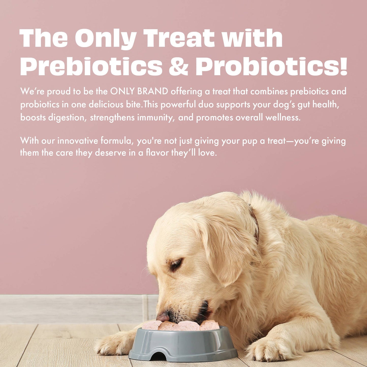 Pawfect Yogurt Melties Prebiotic and Probiotic Dog Treats: Strawberry & Yogurt (38g/1.34oz)