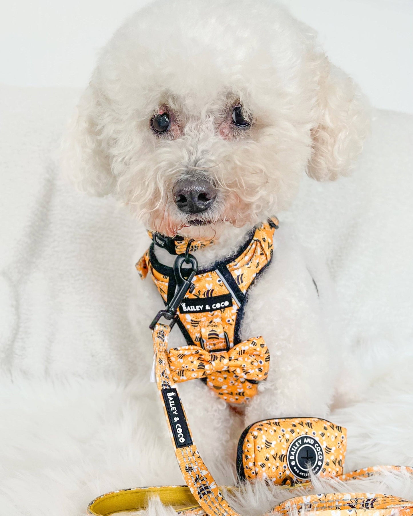 Trail & Glow® Dog Harness - Wanna-Bee: S