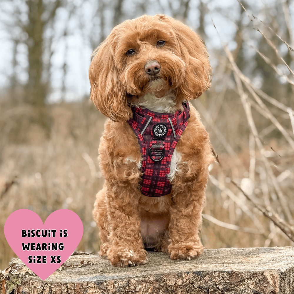 Trail & Glow® Dog Harness - The Red Tartan One: XL