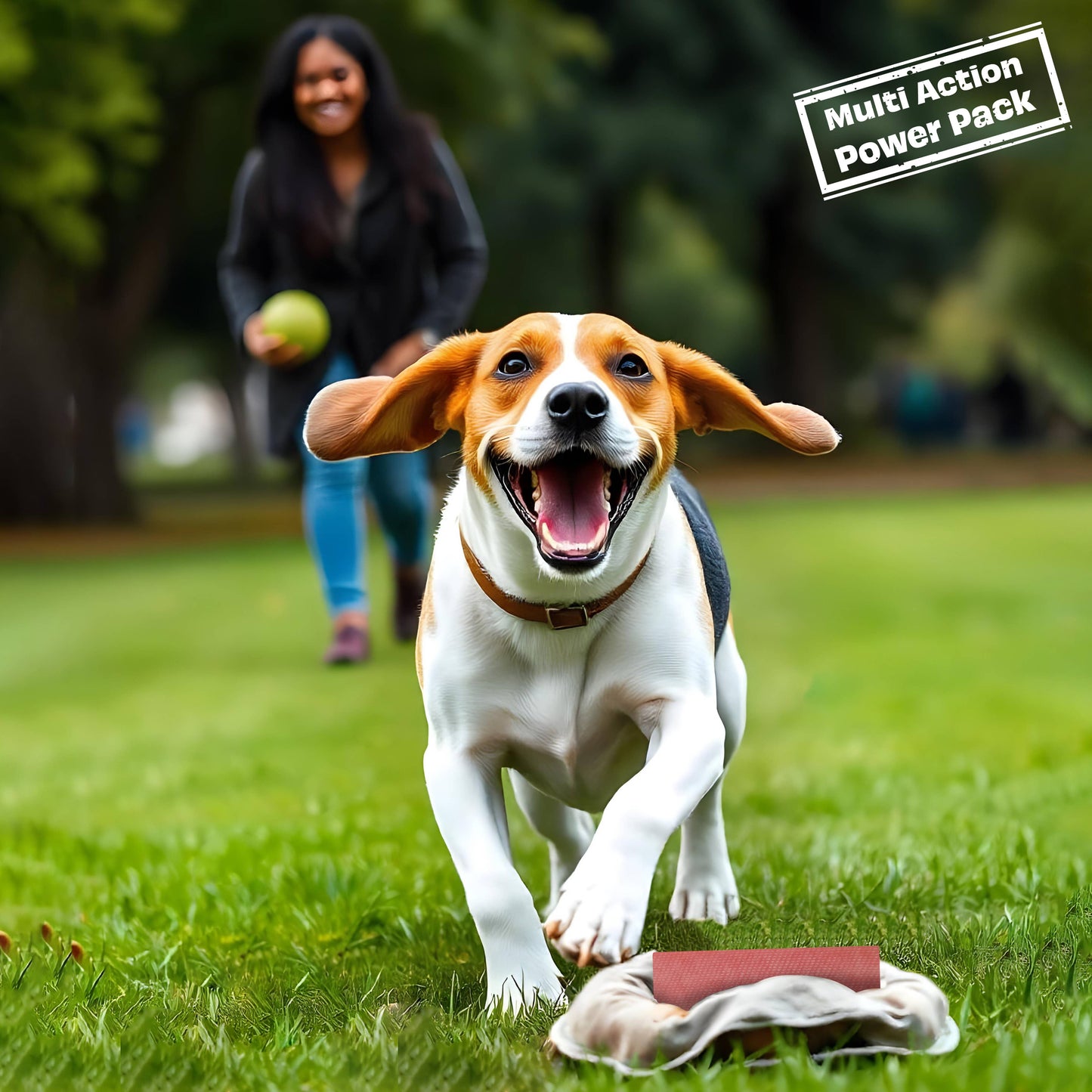 Pawfect Himalayan Cheese Chew Bars Variety Pack (Medium) - Pack of 6 (Strawberry, Mint, Turmeric, Blueberry, Cranberry, Aloe Vera) (390g/13.75oz)