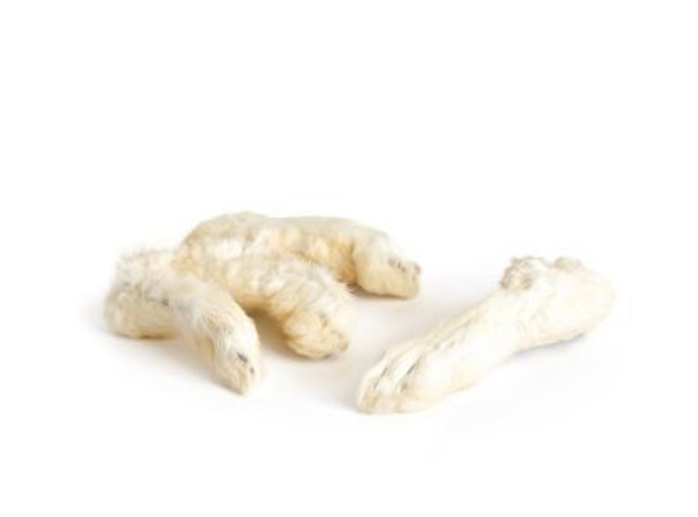 Rabbit Feet - with Fur.