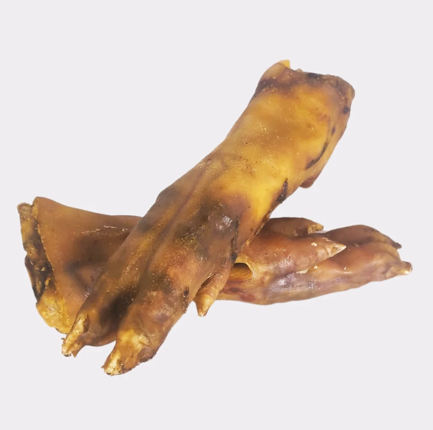 Pig Feet ‘pig trotters’ - Medium.